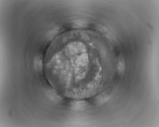 X0000114660716200911171111