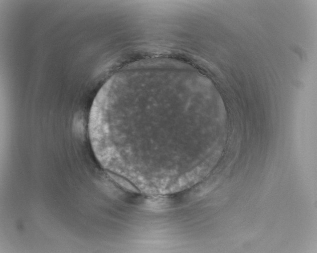 X0000114660720200911171111