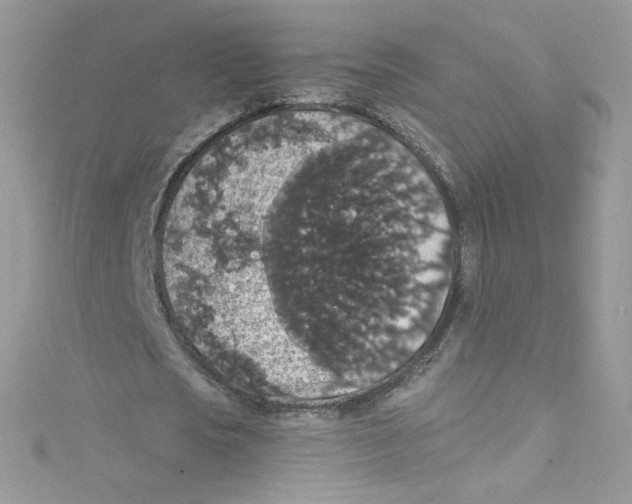 X0000114660721200911171110