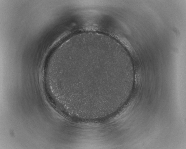 X0000114660722200911171110