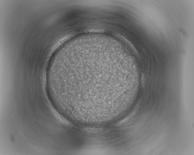 X0000114660725200911171110