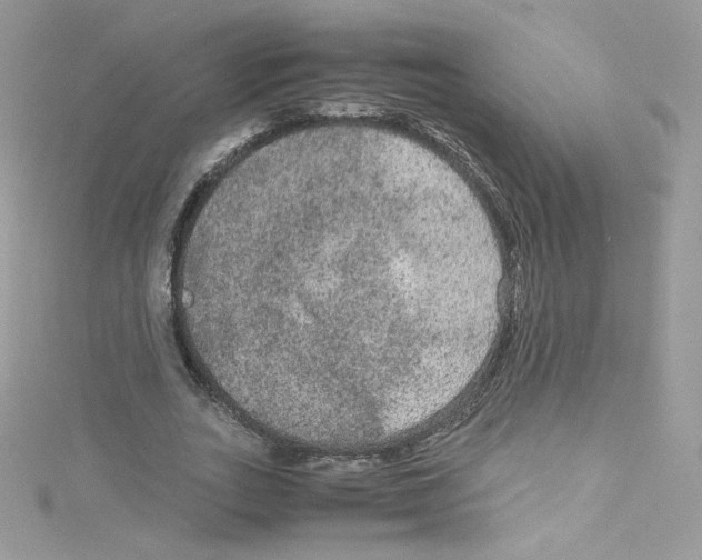 X0000114660727200911171110