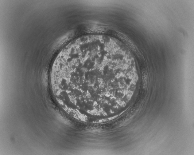 X0000114660729200911171110