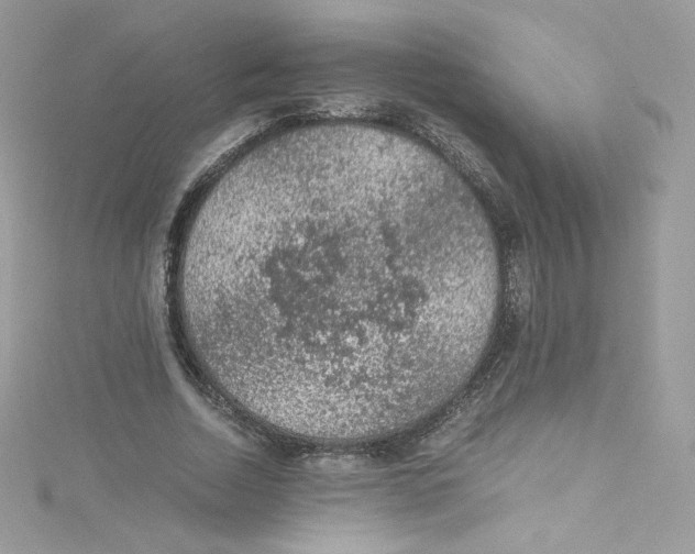 X0000114660730200911171110