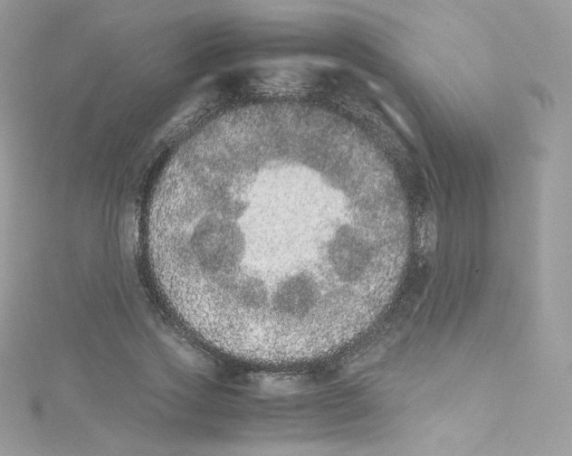 X0000114660733200911171110