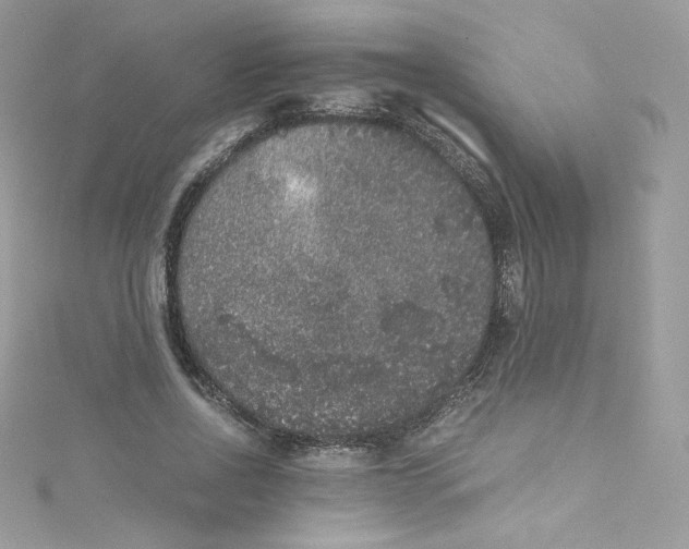 X0000114660734200911171110