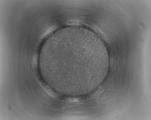 X0000114660735200911171110