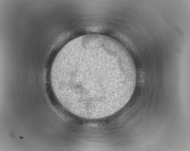 X0000114660738200911171110