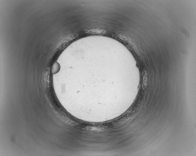 X0000114660739200911171110