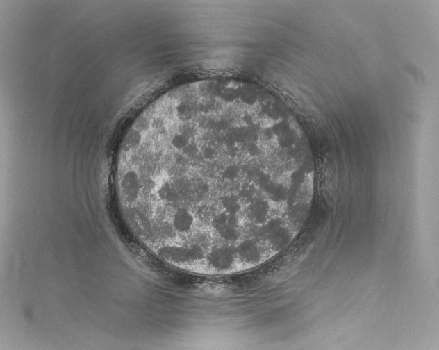 X0000114660742200911171110