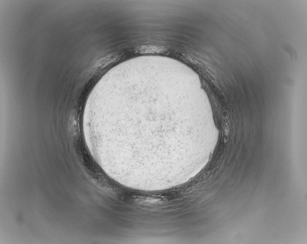 X0000114660743200911171110