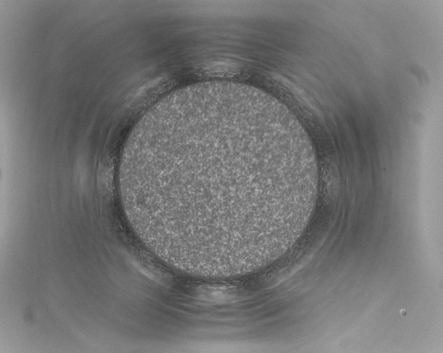 X0000114660745200911171110