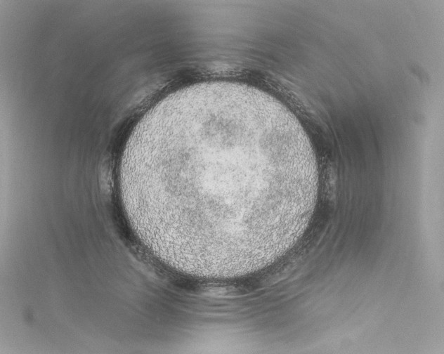 X0000114660746200911171110