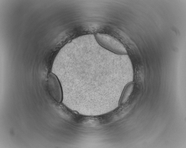 X0000114660750200911171110