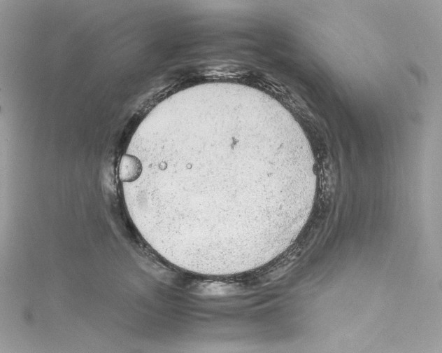 X0000114660755200911171110