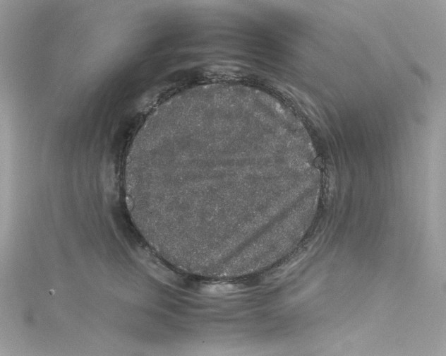 X0000114660759200911171110