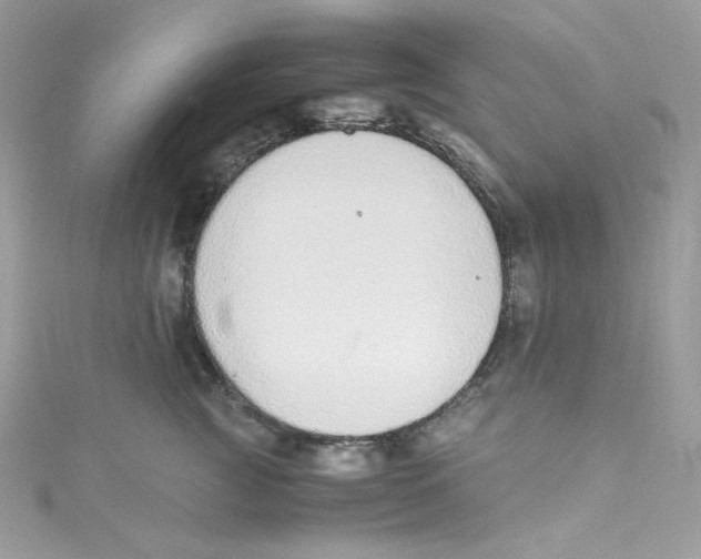 X0000114660761200911171110