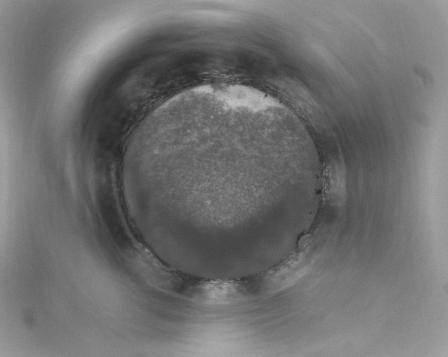 X0000114660762200911171110