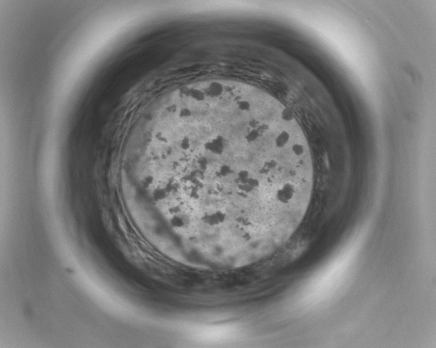 X0000114660765200911171110