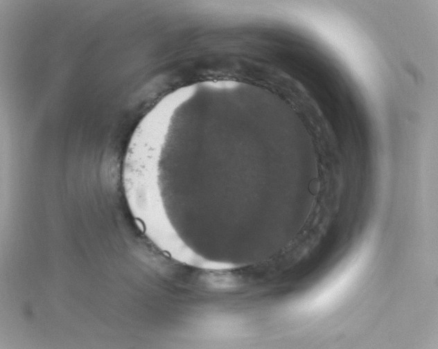 X0000114660767200911171111