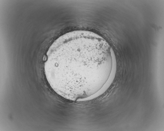 X0000114660769200911171110