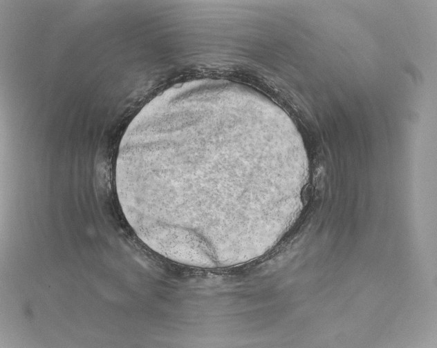 X0000114660772200911171110