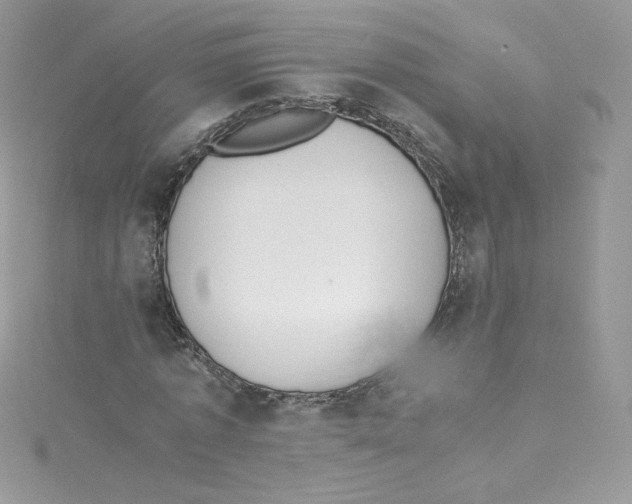 X0000114660773200911171110