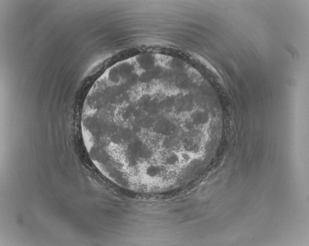 X0000114660775200911171110