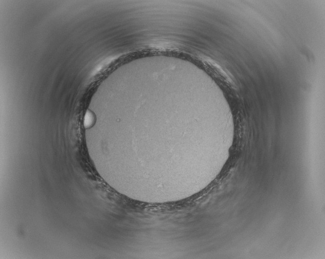 X0000114660776200911171110