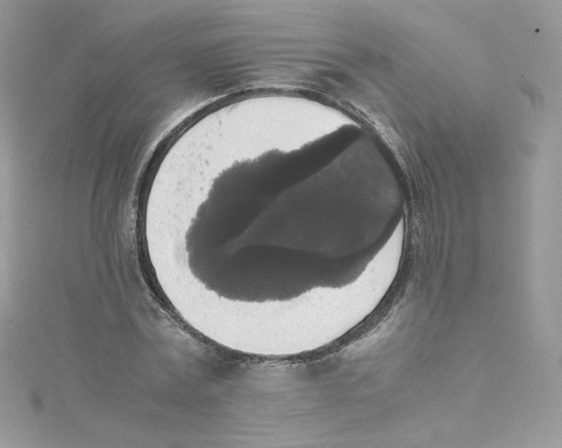 X0000114660779200911171110