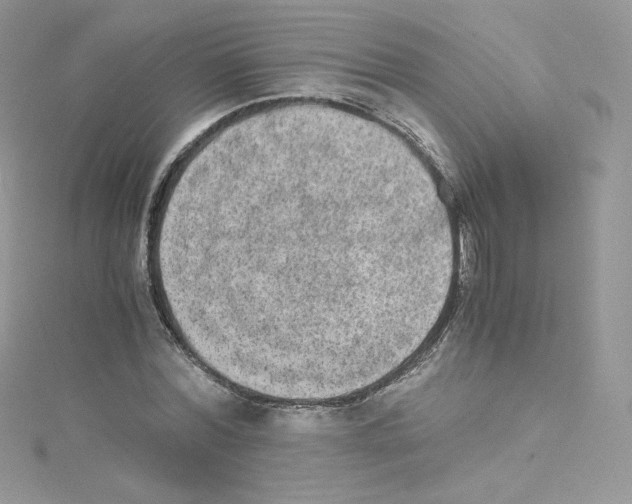 X0000114660780200911171110