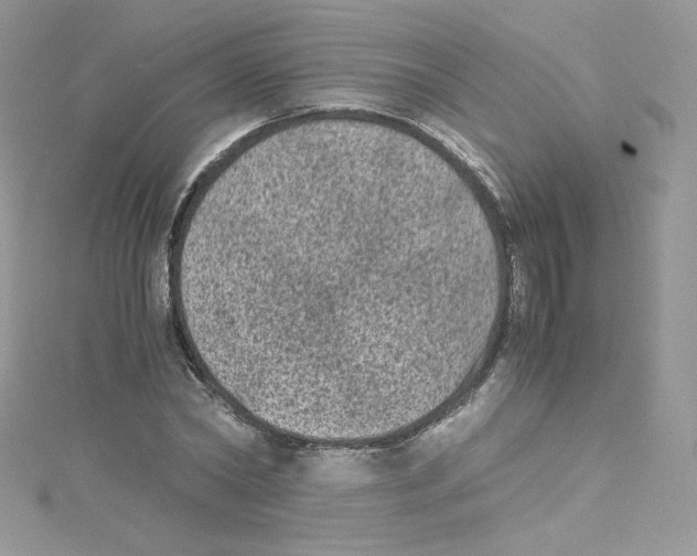 X0000114660782200911171110