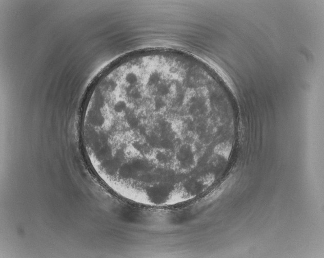 X0000114660783200911171110