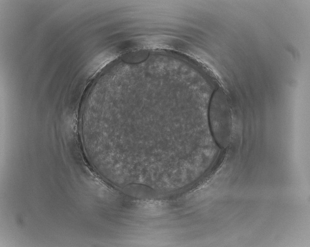 X0000114660785200911171110