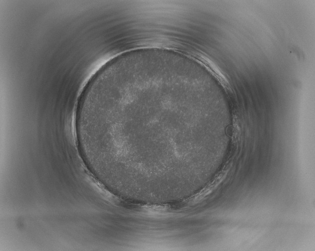 X0000114660788200911171109