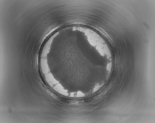 X0000114660790200911171109