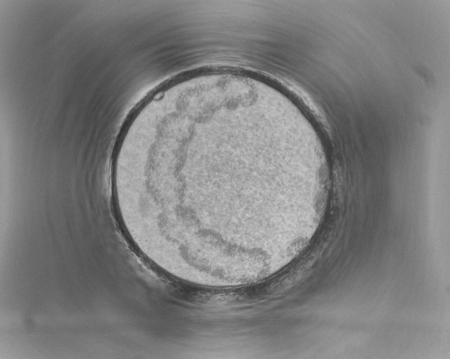 X0000114660791200911171109