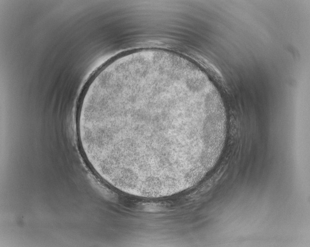 X0000114660792200911171109