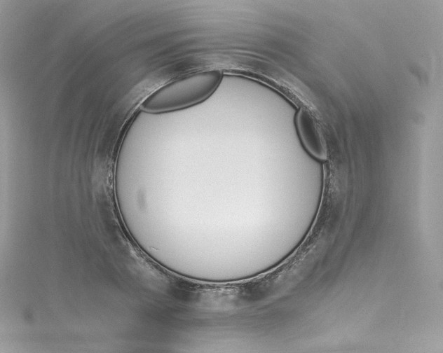 X0000114660793200911171109