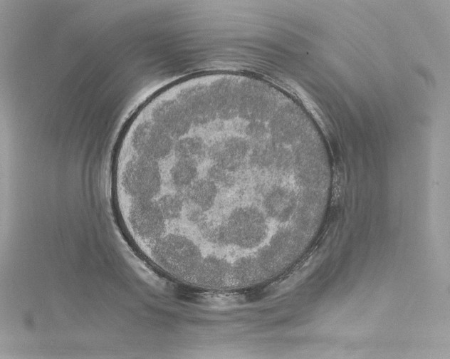 X0000114660795200911171109