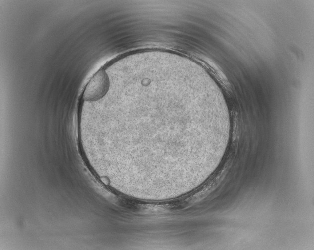 X0000114660796200911171109