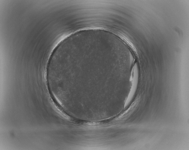 X0000114660797200911171109