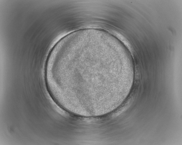 X0000114660803200911171109