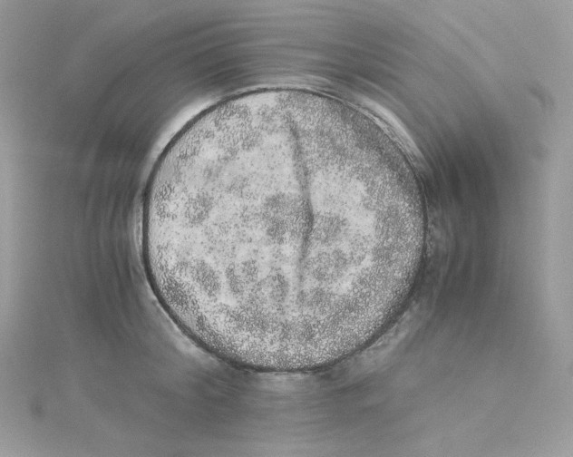 X0000114660804200911171109