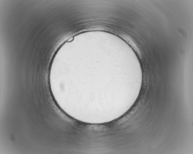 X0000114660805200911171109