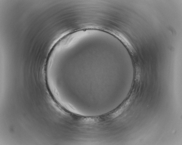 X0000114660806200911171109