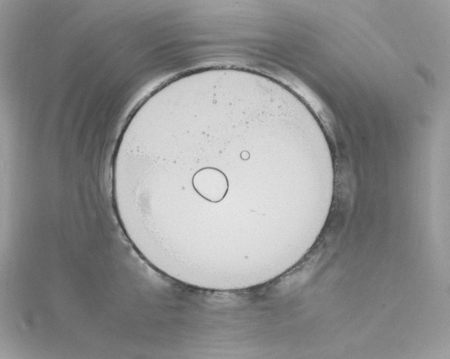 X0000114660807200911171109