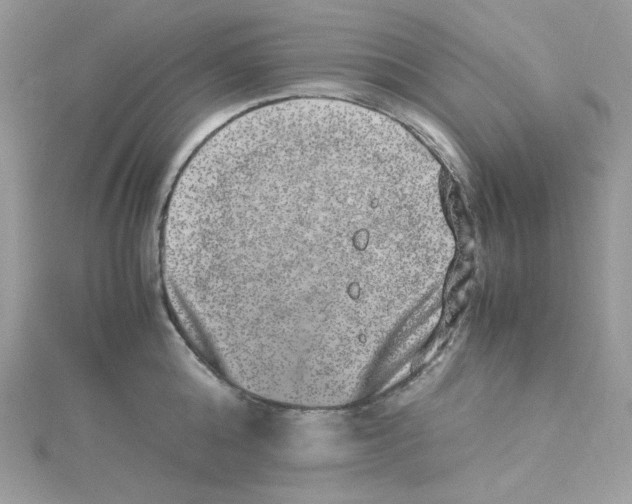 X0000114660808200911171109