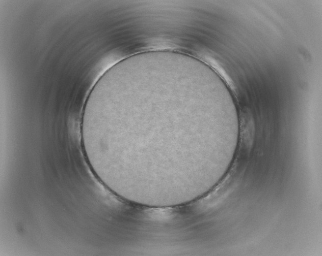 X0000114660810200911171109