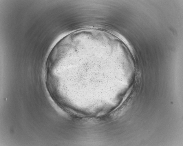 X0000114660811200911171109